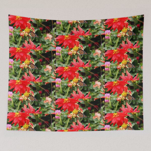 Item preview, A Feeding Monarch Butterfly designed and sold by Martha Sherman.