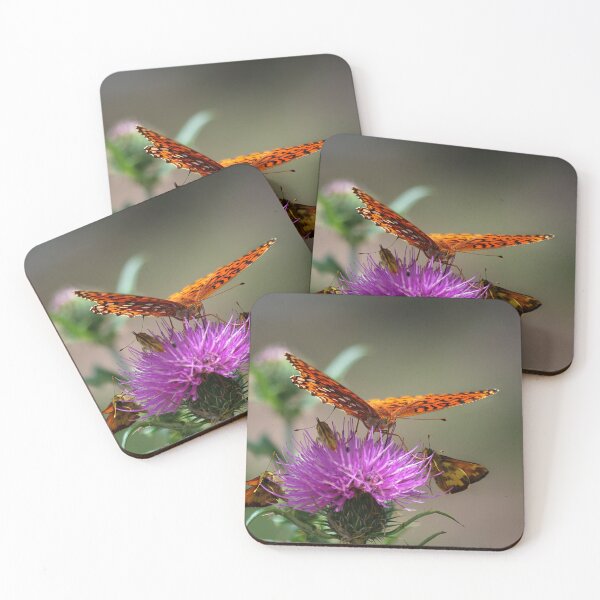 Item preview, Let's Meet for Lunch ~ Gila National Forest, New Mexico designed and sold by Vicki Pelham.