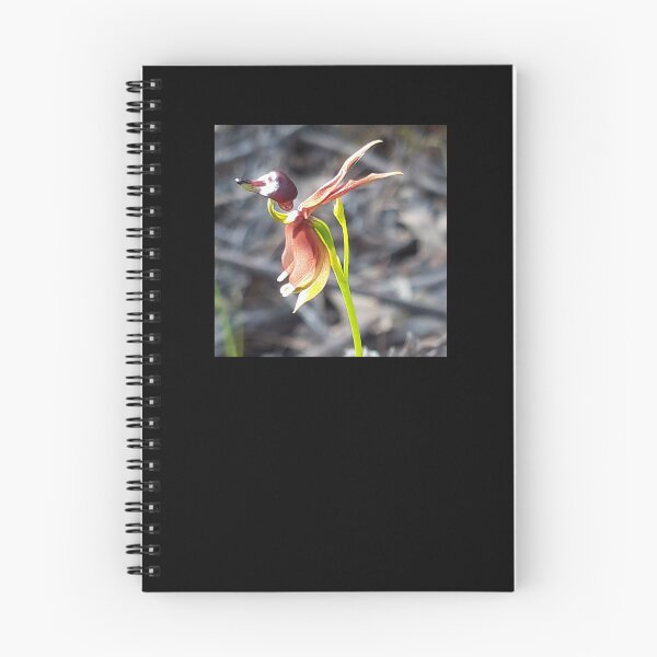 Item preview, Orquídea pato volador designed and sold by Anne-Maree Hunter.
