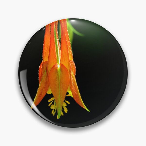Item preview, Southwestern Red Columbine designed and sold by Vicki Pelham.