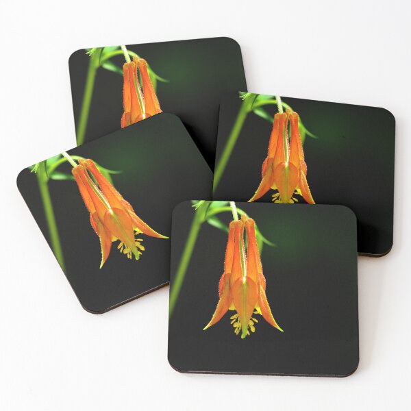 Item preview, Southwestern Red Columbine designed and sold by Vicki Pelham.
