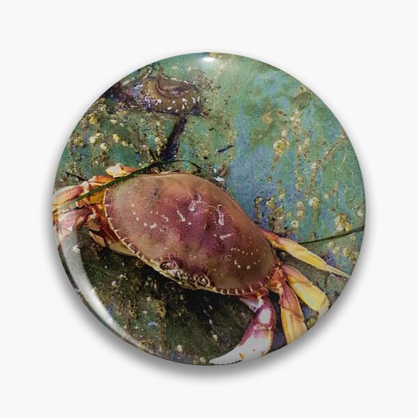 Item preview, Pacific Ocean Shore Life  designed and sold by sandpiperstudio.