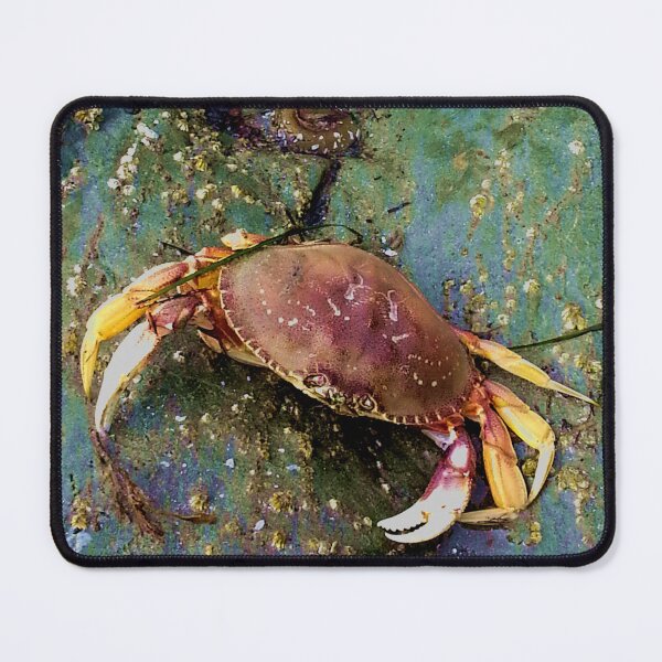 Item preview, Pacific Ocean Shore Life designed and sold by sandpiperstudio.