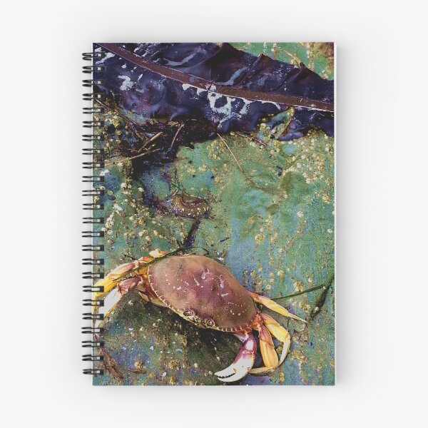 Item preview, Pacific Ocean Shore Life  designed and sold by sandpiperstudio.