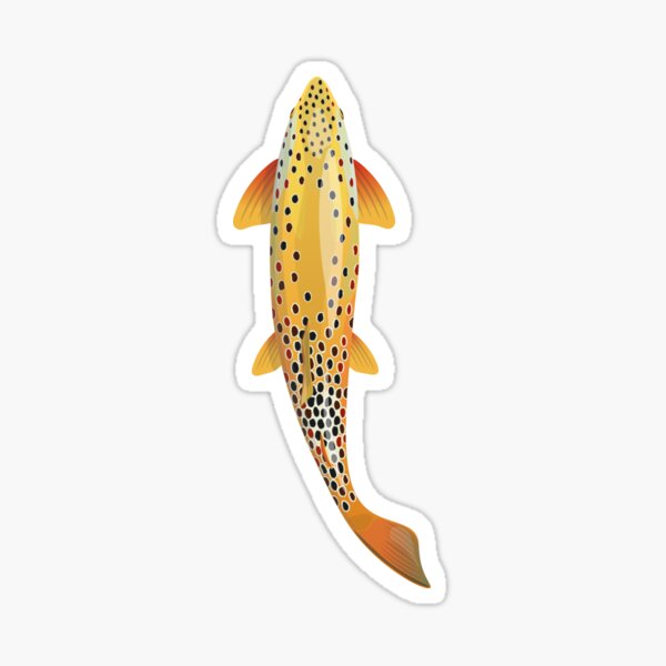 Rainbow Trout Stickers for Sale, Free US Shipping