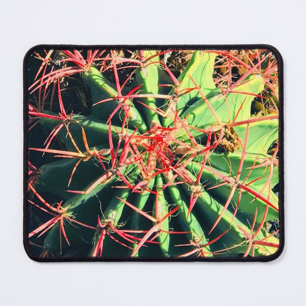 Item preview, Luxurious Barrel Cactus With Red Spines Artistic Photo designed and sold by DEC02.