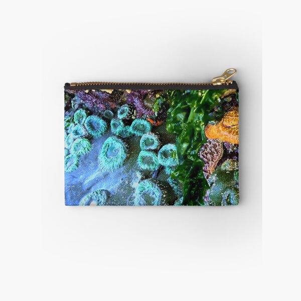 Item preview, Pacific North-West Low Tide designed and sold by sandpiperstudio.