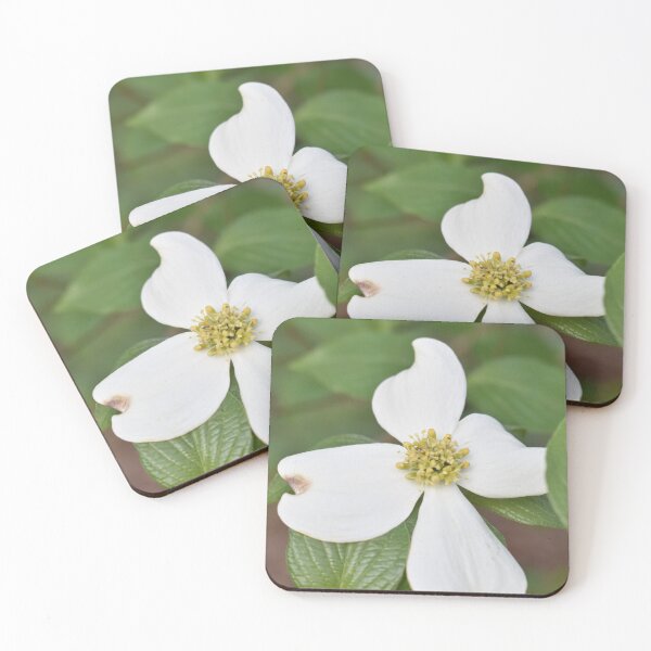 Item preview, Dogwood Bloom designed and sold by JonnyBoy141.