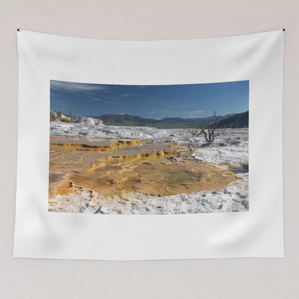 Item preview, Canary Spring designed and sold by Yair Karelic.