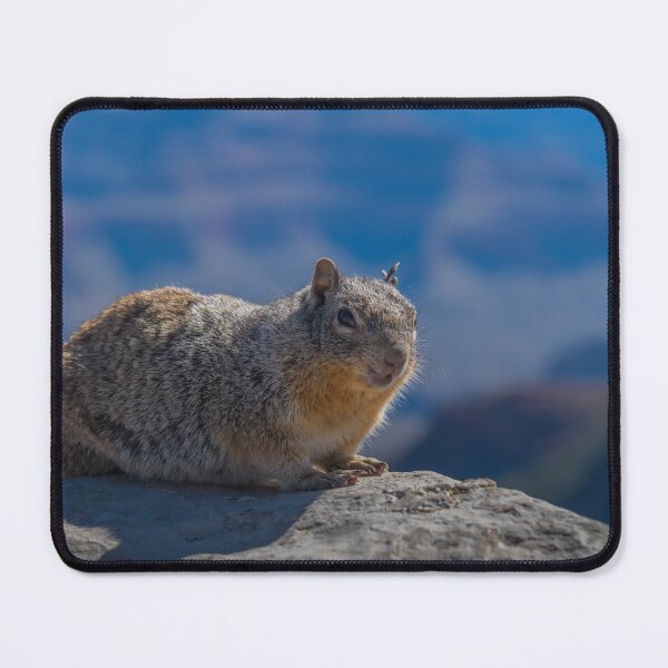 Item preview, Kaibab squirrel designed and sold by JohnDSmith.