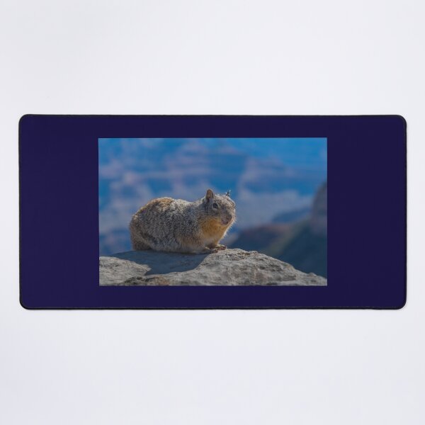Item preview, Kaibab squirrel designed and sold by JohnDSmith.