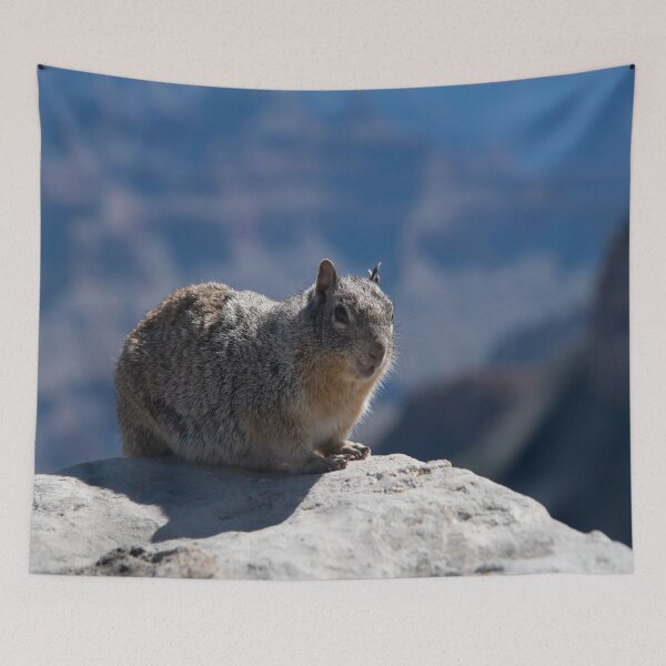 Item preview, Kaibab squirrel designed and sold by JohnDSmith.