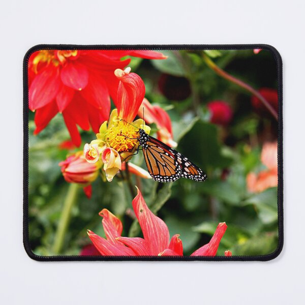 Item preview, A Feeding Monarch Butterfly designed and sold by Martha Sherman.