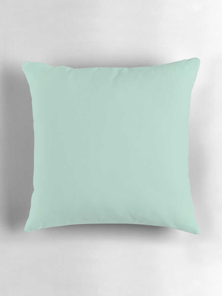 mint blue throw pillows