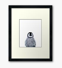 Little Penguin Framed Print
