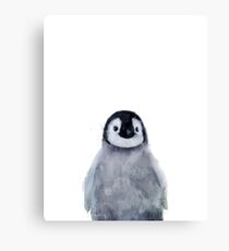 Little Penguin Canvas Print