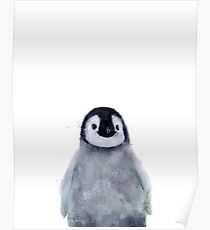 Kleiner Pinguin Poster