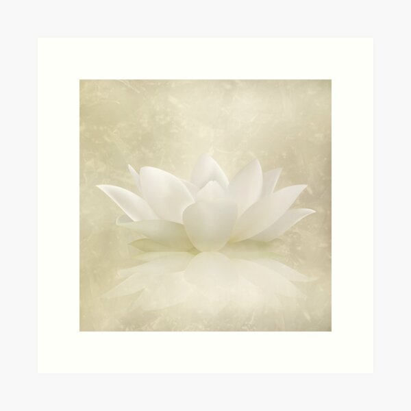 Item preview, Elegant Gentle White  Lotus / Lily flower designed and sold by k9printart.