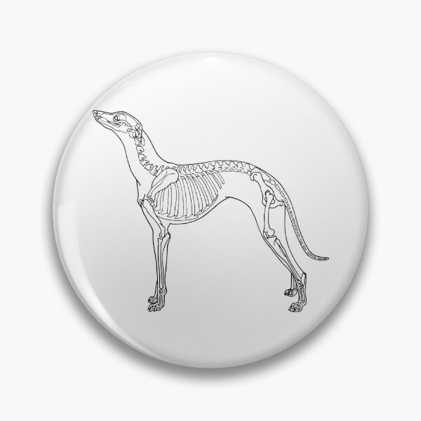 Item preview, Dog anatomy designed and sold by MadBreew.