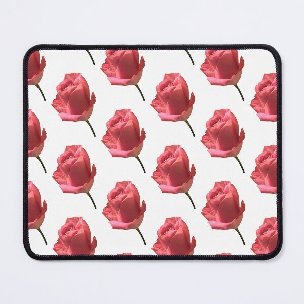Item preview, Pink Rose on White photograph designed and sold by CarrieBrose.