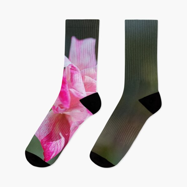 Item preview, Beauty Pink Rose Raindrops  designed and sold by Joy Watson - Natural Light Photography .