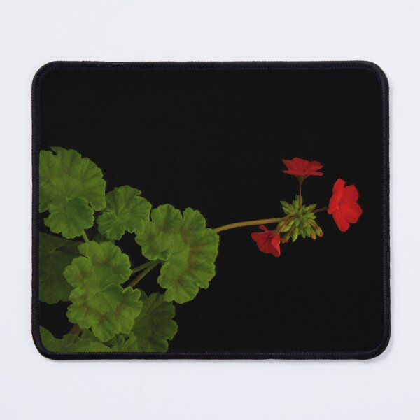 Item preview, Geranium designed and sold by CarolM.