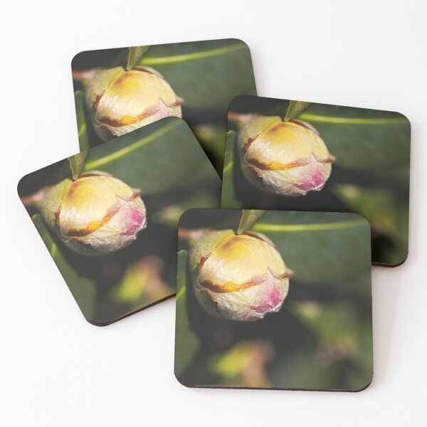 Item preview, Pink Camellia Gorgeous Bud  designed and sold by Joy Watson - Natural Light Photography .