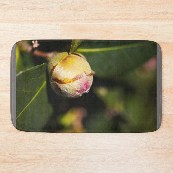 Item preview, Pink Camellia Gorgeous Bud  designed and sold by Joy Watson - Natural Light Photography .