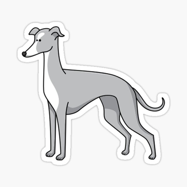 Sticker Akc Redbubble