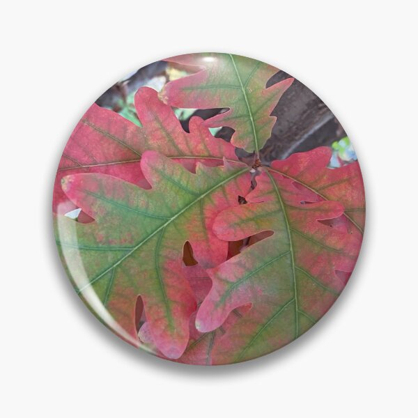 Item preview, Oak Tree Leaves changing colors in the Fall, by Mark Ewing designed and sold by LifeSpice.