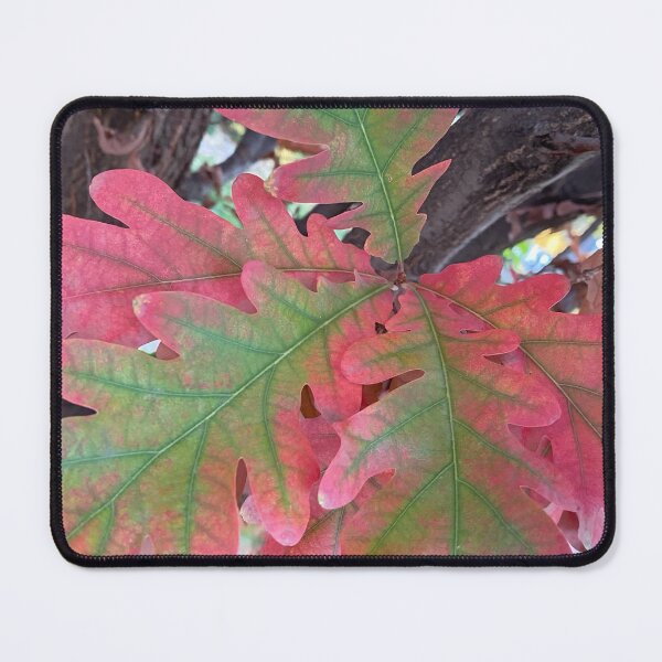 Item preview, Oak Tree Leaves changing colors in the Fall, by Mark Ewing designed and sold by LifeSpice.