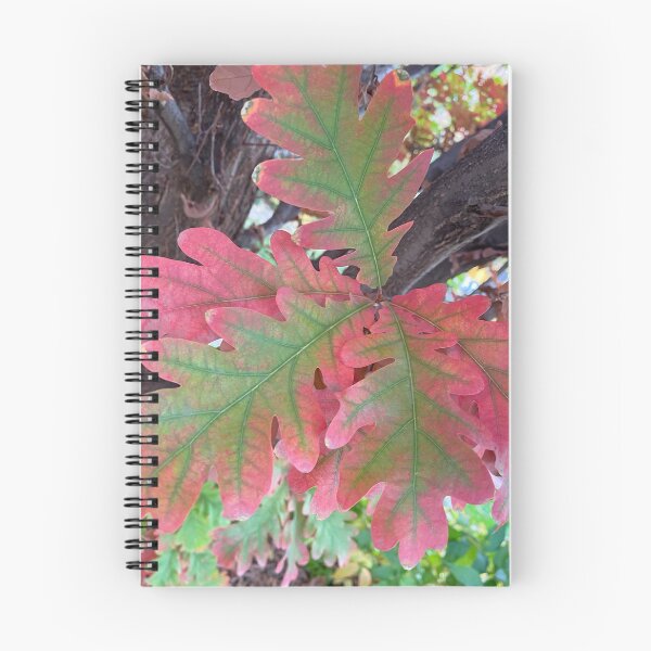 Item preview, Oak Tree Leaves changing colors in the Fall, by Mark Ewing designed and sold by LifeSpice.