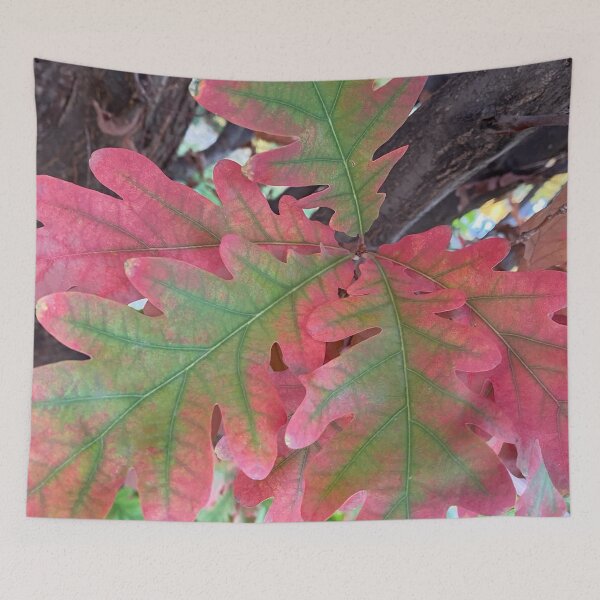 Item preview, Oak Tree Leaves changing colors in the Fall, by Mark Ewing designed and sold by LifeSpice.