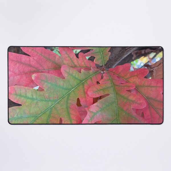 Item preview, Oak Tree Leaves changing colors in the Fall, by Mark Ewing designed and sold by LifeSpice.