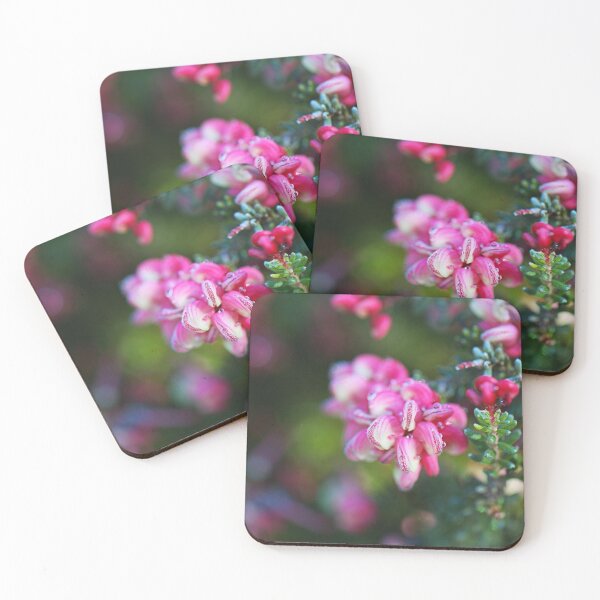 Item preview, Grevillea Flowers Has Beauty  designed and sold by Joy Watson - Natural Light Photography .