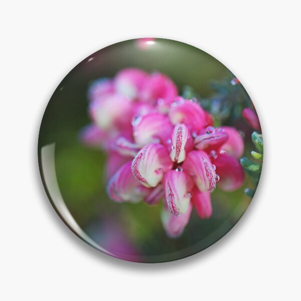 Item preview, Grevillea Flowers Has Beauty  designed and sold by Joy Watson - Natural Light Photography .