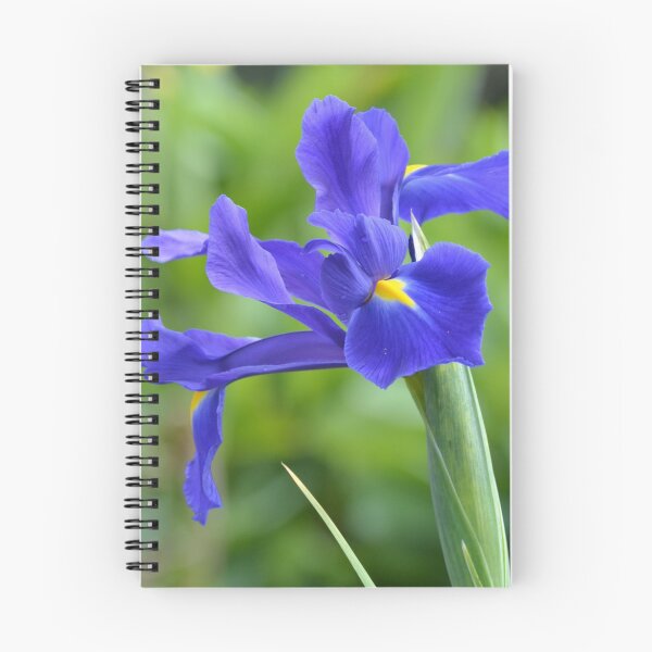 Item preview, Iris versicolor designed and sold by lizdomett.