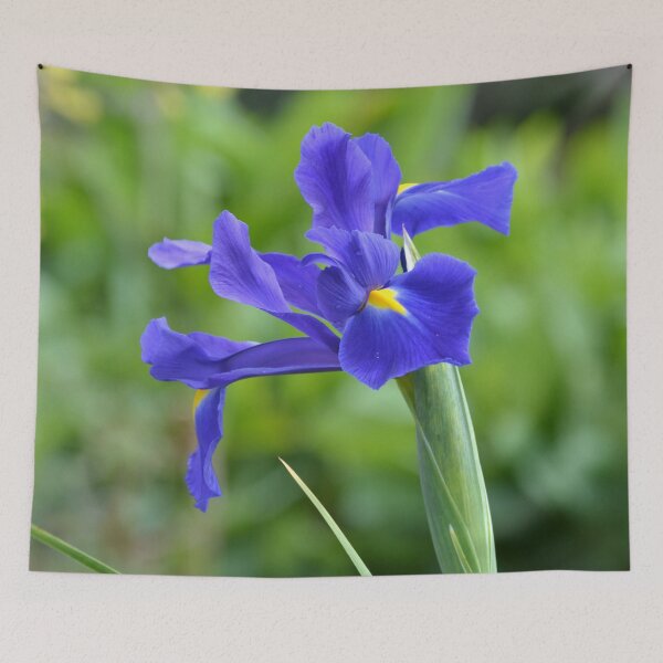 Item preview, Iris versicolor designed and sold by lizdomett.