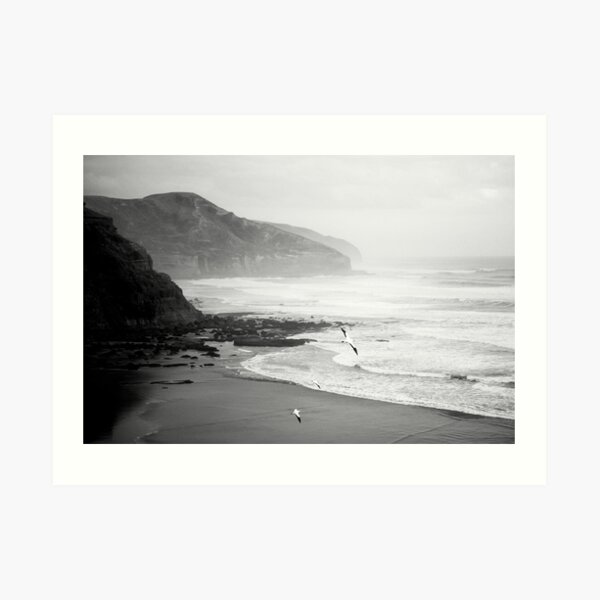 Gannets on Muriwai Beach. Art Print