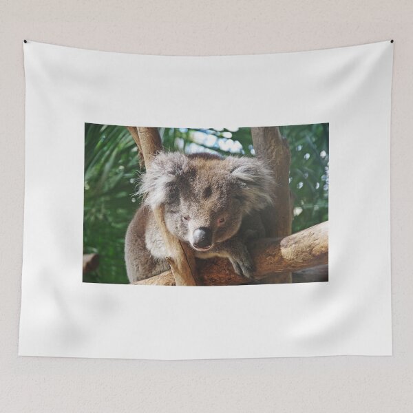Item preview, Koala, Barely Awake! designed and sold by lezvee.