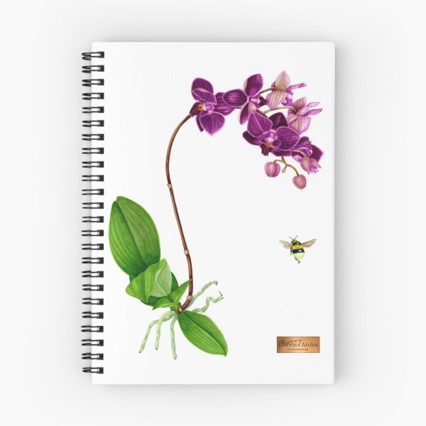 Item preview, Miniature Phalanopsis Orchid designed and sold by DarwinsAtelier.