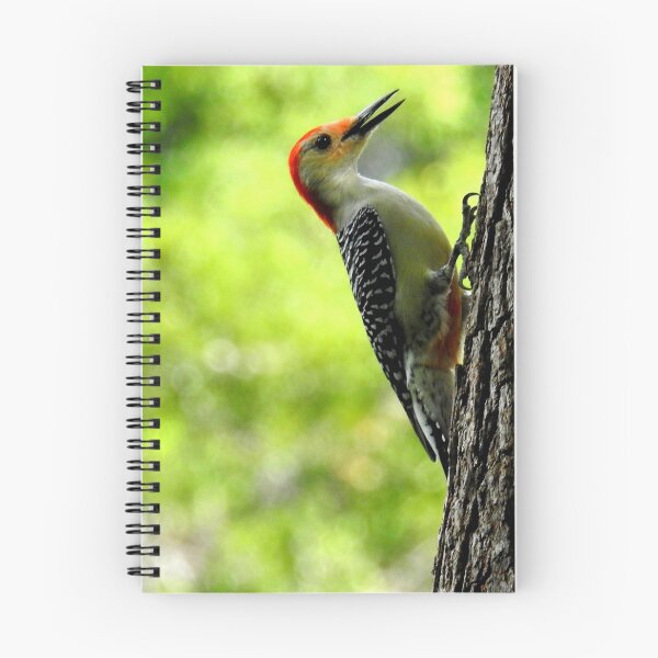 Item preview, Woodpecker on the Pine designed and sold by Barnbk02.