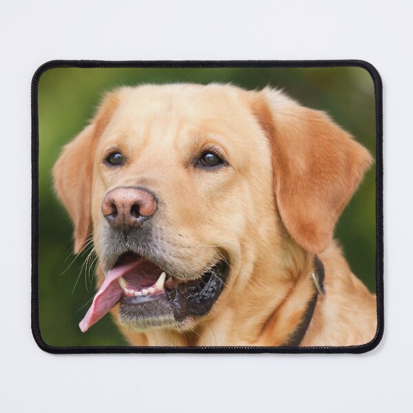 Item preview, brown cute dog  designed and sold by TheVIP.