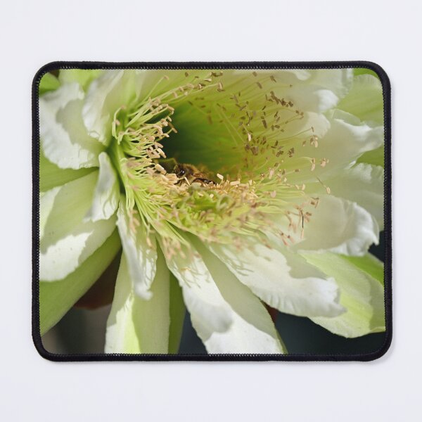 Item preview, Busy Bee in Olympicus Trichocereus Cactus designed and sold by Tdcc2000.