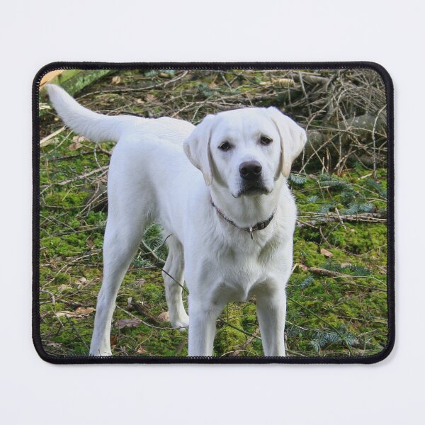 Item preview, white cute dog  designed and sold by TheVIP.