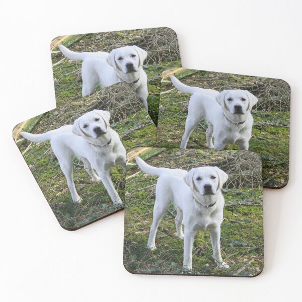 Item preview, white cute dog  designed and sold by TheVIP.
