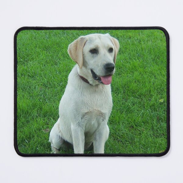 Item preview,  white cute dog  designed and sold by TheVIP.