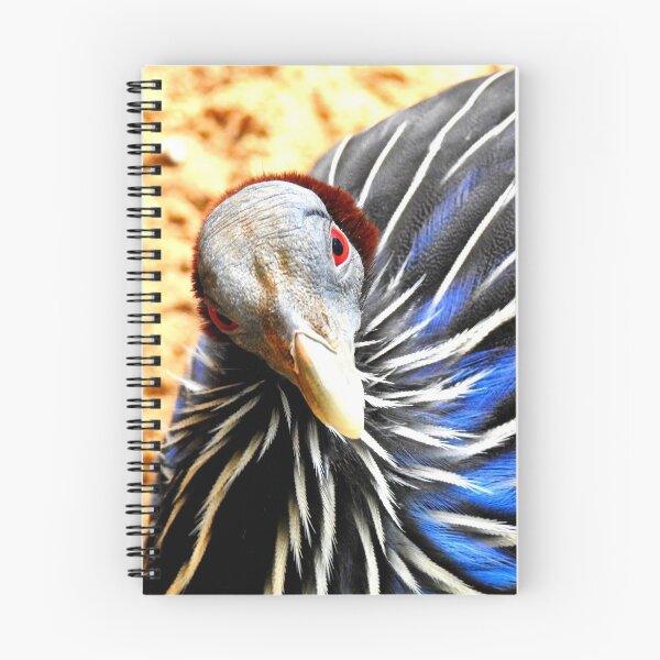 Item preview, Vulturine Guineafowl designed and sold by Barnbk02.