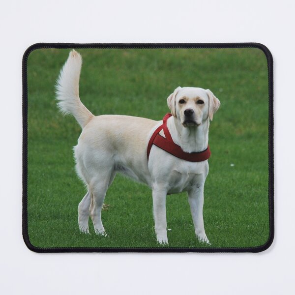 Item preview, Copy of  white cute dog  designed and sold by TheVIP.