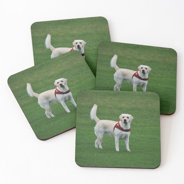 Item preview, Copy of  white cute dog  designed and sold by TheVIP.